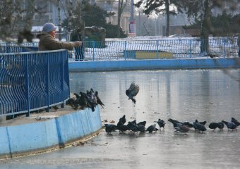Озеро в парке Победы покрылось льдом (фото)