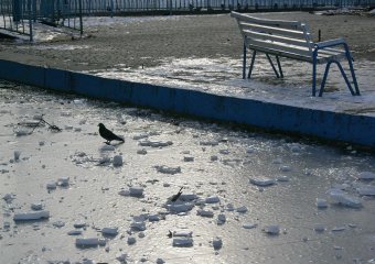 Озеро в парке Победы покрылось льдом (фото)