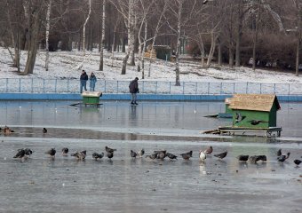 Озеро в парке Победы покрылось льдом (фото)