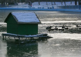 Озеро в парке Победы покрылось льдом (фото)