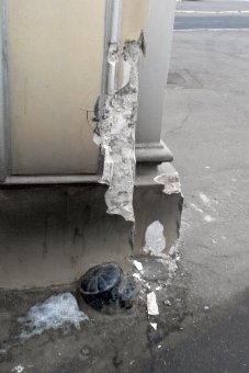 Поврежденная арка на одесском Ланжероне должна быть восстановлена (фото)