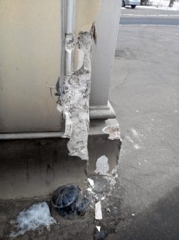 Поврежденная арка на одесском Ланжероне должна быть восстановлена (фото)