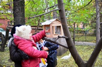 Советы одесситам по оказанию помощи птицам в зимний период