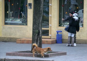 Скоро праздник!