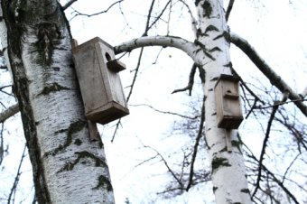 В парке Победы обустроят площадки для отдыха детей (фото)