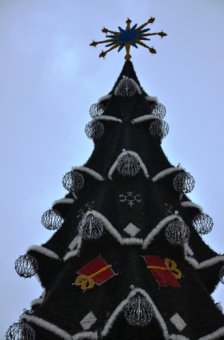 На Думской площади в Одессе устанавливают главную ёлку города (фото)