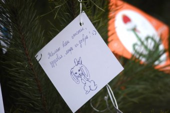 В Одессе появилось новогоднее Дерево желаний (фото)