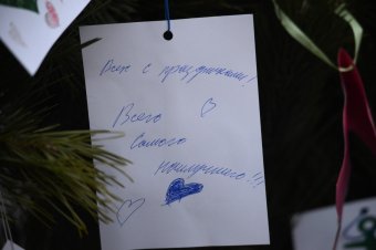 В Одессе появилось новогоднее Дерево желаний (фото)