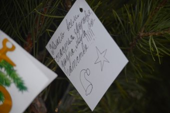 В Одессе появилось новогоднее Дерево желаний (фото)