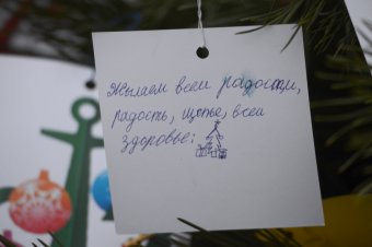 В Одессе появилось новогоднее Дерево желаний (фото)