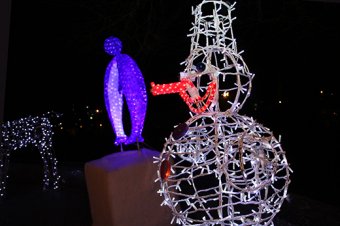 На главной елке Одессы засияли праздничные огни