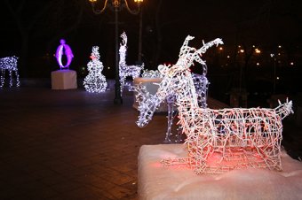 На главной елке Одессы засияли праздничные огни