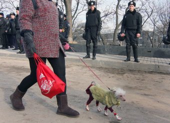 Общественники Одессы уничтожают парковку возле «Немо» (фото)