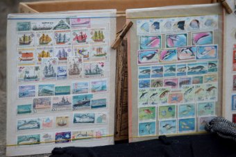 Большая распродажа на одесской барахолке (фото)