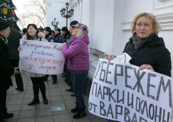 Шоу под зданием мэрии (фото)