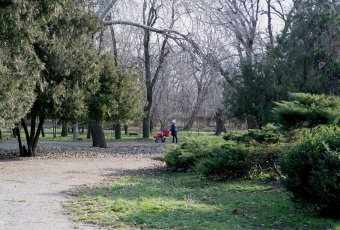 Сотрудники Госархива Одесской области подготовили подробный перечень документов по истории Первого городского кладбища (фото)