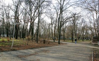 Сотрудники Госархива Одесской области подготовили подробный перечень документов по истории Первого городского кладбища (фото)