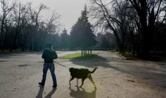 Сотрудники Госархива Одесской области подготовили подробный перечень документов по истории Первого городского кладбища (фото)