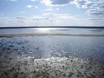 Михаил Кучук: «Процесс подачи морской воды в Куяльник будут ежемесячно контролировать учёные»