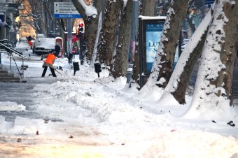 Одесситов просят ограничить поездки