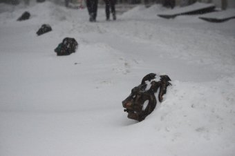 Снегопад в Одессе