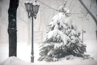 Снегопад в Одессе