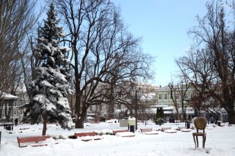 Снежное утро в Одессе