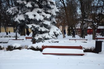Снежное утро в Одессе