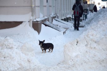 Снежное утро в Одессе