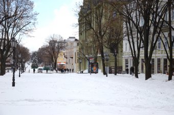 Снежное утро в Одессе