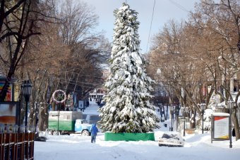 Снежное утро в Одессе