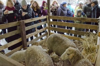На Дерибасовской открылся рождественский вертеп
