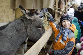 На Дерибасовской открылся рождественский вертеп