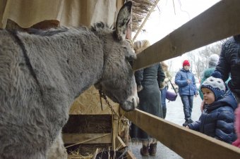 На Дерибасовской открылся рождественский вертеп