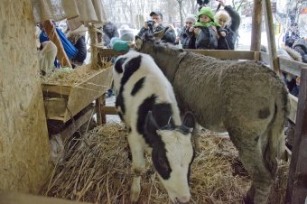 На Дерибасовской открылся рождественский вертеп