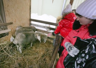  Одесса: от Нового года до Рождества
