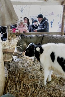  Одесса: от Нового года до Рождества