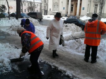 Как борются с последствиями снегопада в Приморском районе (фото)