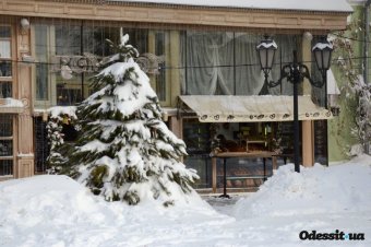 Одесса новогодняя: Лучшие фото недели