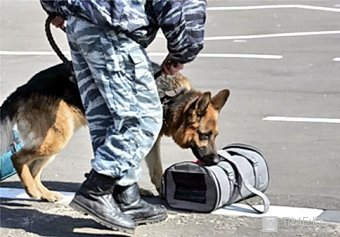 Одесским школьникам расскажут как поступать с подозрительными предметами