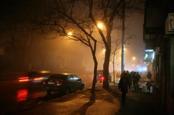 Туман окутал все вокруг