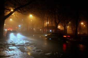 Туман окутал все вокруг