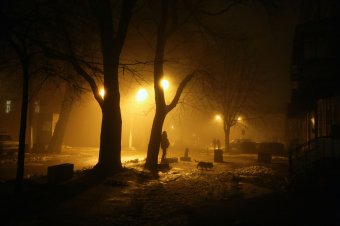 Туман окутал все вокруг