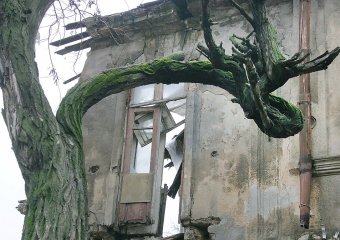 Одесский квартал на Куйбышева: Жизнь в постоянном кошмаре (фото)
