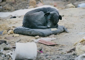Одесский квартал на Куйбышева: Жизнь в постоянном кошмаре (фото)
