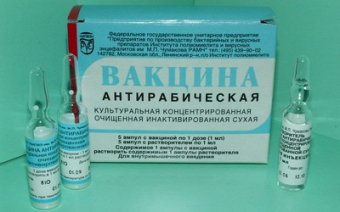 Лечебные учреждения Одессы обеспечены вакциной для профилактики бешенства