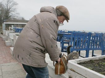 Февральская "Отрада" 