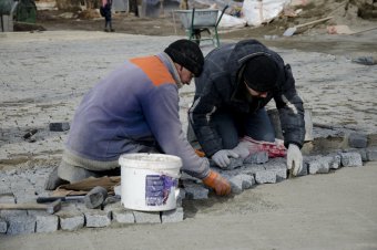 В ходе благоустройства на пляже Ланжерон высажены 64 молодых дерева