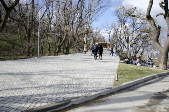 В ходе благоустройства на пляже Ланжерон высажены 64 молодых дерева