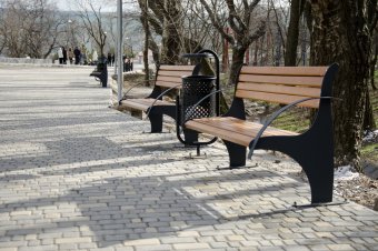 В ходе благоустройства на пляже Ланжерон высажены 64 молодых дерева